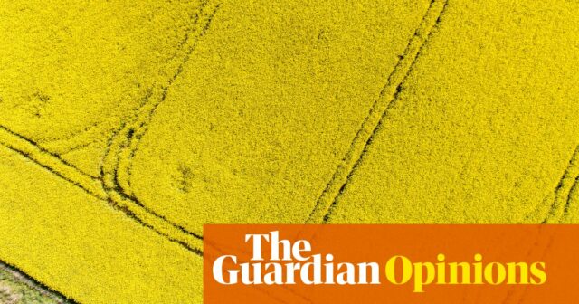 Die Landwirtschaft hat schon immer mit Dreck gespielt – aber die Chancen werden immer größer | Gabrielle Chan

