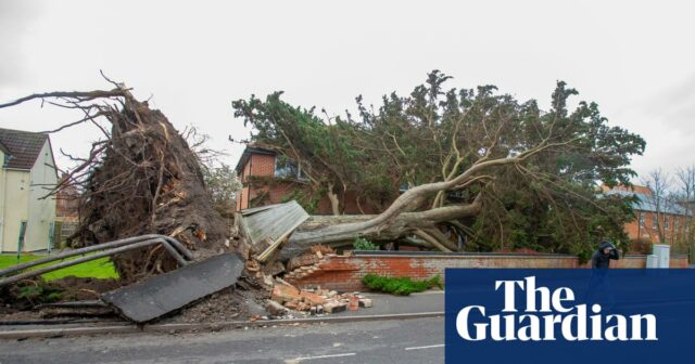 Zwei Männer wurden durch umstürzende Bäume getötet, als der Sturm Darragh Windgeschwindigkeiten von fast 160 km/h mit sich brachte

