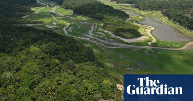 Exklusiv: Abkommen zum Schutz des Amazonas-Regenwalds gefährdet, da große Unternehmen den Druck erhöhen

