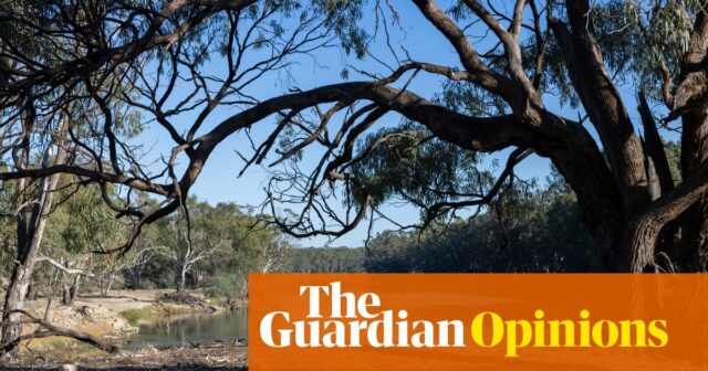 Australien hat 13 Milliarden Dollar ausgegeben, um den Murray-Darling zu retten. Und es ist weitgehend gescheitert | Jamie Pittock

