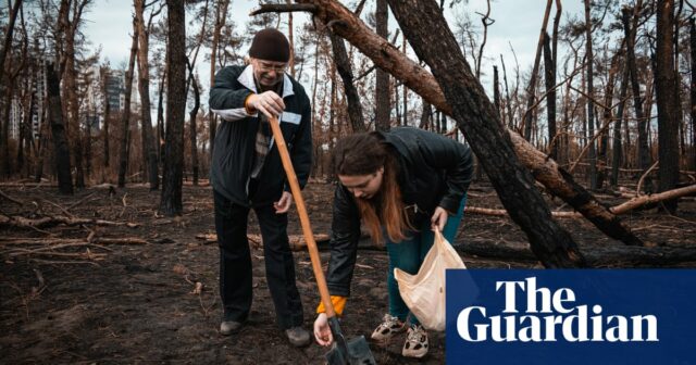 „Der Wald wird überleben“: Die Freiwilligen retten den vom Krieg verkohlten Wald in Charkiw

