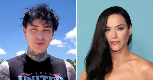 „American Idol“-Absolvent kritisiert ernsthaft Katy Perrys neuen Song „OK“.

