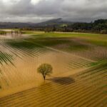 Für Gebiete in der Nähe von Santa Rosa werden Hochwasserwarnungen und Hochwasserwarnungen herausgegeben