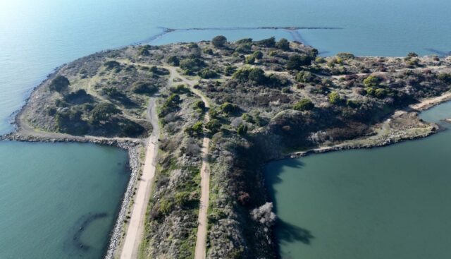 Trotz der Begeisterung der Medien sind Experten von der hohen Strahlung bei Albany Bulb unbeeindruckt

