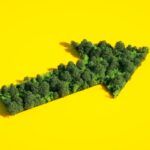 Forest in the shape of arrow sign on a yellow background.