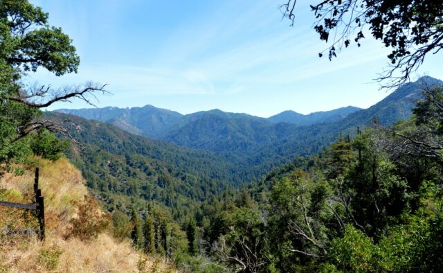 Mann bekennt sich schuldig, illegales Marihuana im Los Padres National Forest angebaut zu haben

