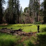 Die California State Parks bieten am 1. Januar mehr als 90 geführte Tageswanderungen an