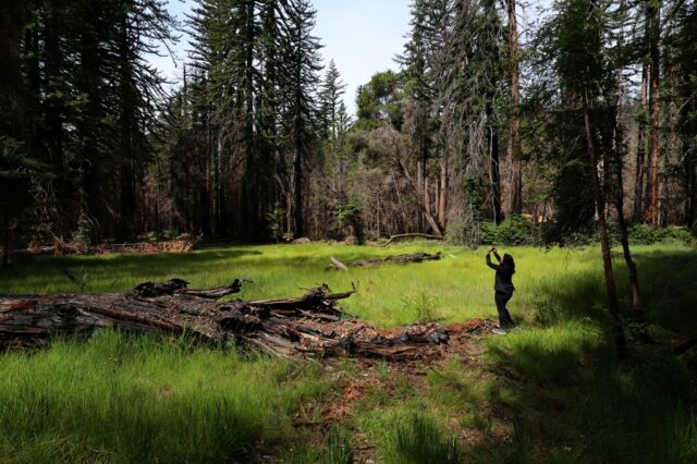 Die California State Parks bieten am 1. Januar mehr als 90 geführte Tageswanderungen an

