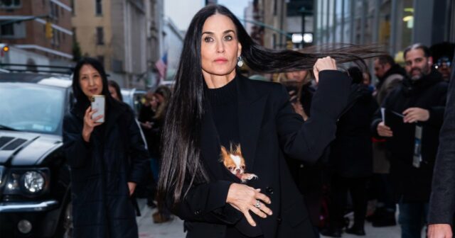 Kaufen Sie den schwarzen Blazer von Demi Moore. Sparen Sie bei Express

