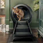 Das Litter-Robot 4-Bundle ist als Best Buy Drop des Tages um 120 $ günstiger