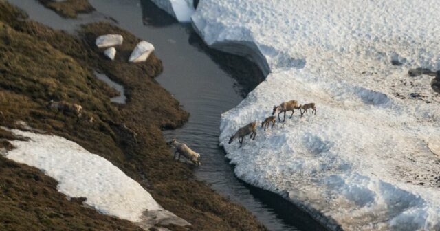 Alaska ist Klimaopfer und Klimatäter. Die nächsten vier Jahre werden alles nur noch schlimmer machen

