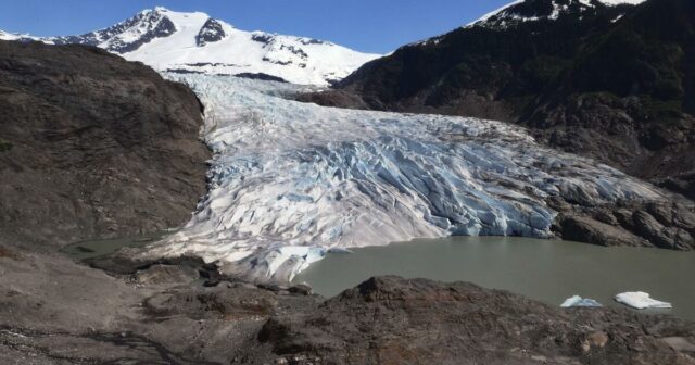 Leserbriefe: Ergreifen Sie diese Klimaschutzmaßnahmen, um die Eisbären in Alaska und die Josuabäume in Kalifornien zu retten

