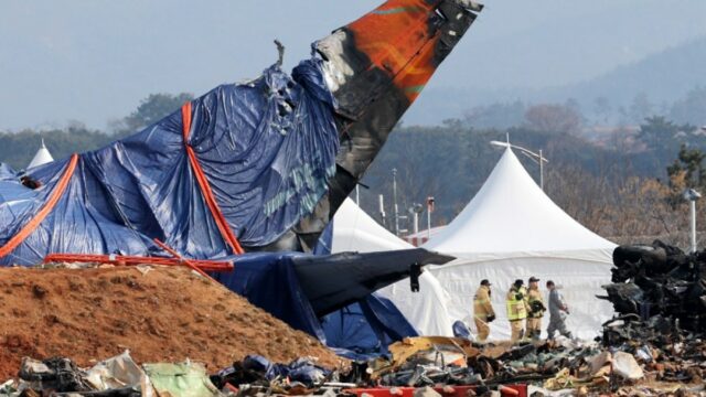 Enten-DNA, Vogelfedern in schicksalhaften Jeju-Luft-Jet-Motoren: Sonde

