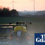 Das erste Glyphosat-resistente Unkraut Großbritanniens wurde auf einer Farm in Kent gefunden