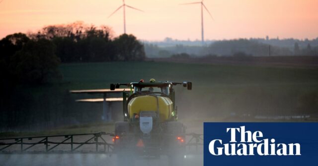 Das erste Glyphosat-resistente Unkraut Großbritanniens wurde auf einer Farm in Kent gefunden

