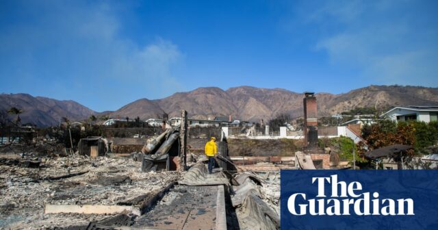 Wie die Klimakrise verheerende Waldbrände anheizt: „Wir haben die Natur angepasst und verärgert“

