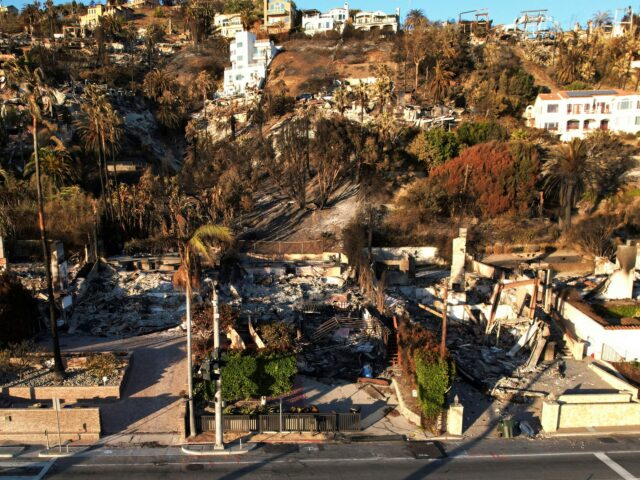 Tag 10 der Waldbrände in Los Angeles: Was gibt es Neues und wie können Sie helfen?

