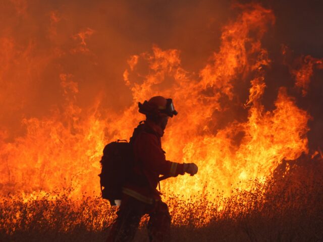 Nördlich von Los Angeles bricht ein neuer, schnell wachsender Waldbrand aus

