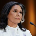 Wichtige Imbissbuden aus Tulsi Gabbards Bestätigungsverhandlung des US -Senats