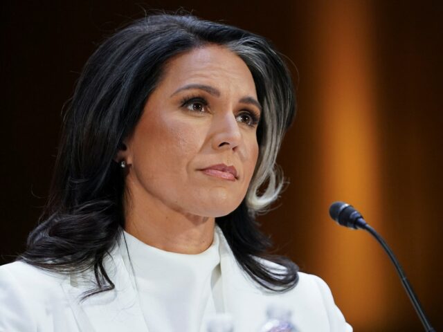 Wichtige Imbissbuden aus Tulsi Gabbards Bestätigungsverhandlung des US -Senats

