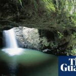 Vermutlich menschliche Knochen im Queensland-Nationalpark gefunden