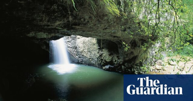 Vermutlich menschliche Knochen im Queensland-Nationalpark gefunden

