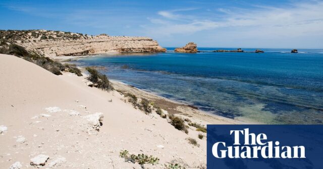 Vermisster Surfer vor der Westküste Südaustraliens, vermutlich Opfer eines Hai-Angriffs

