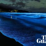 „Erstaunliche Lichtshow“: Spektakuläre Biolumineszenzblüte kehrt an die Küste Tasmaniens zurück