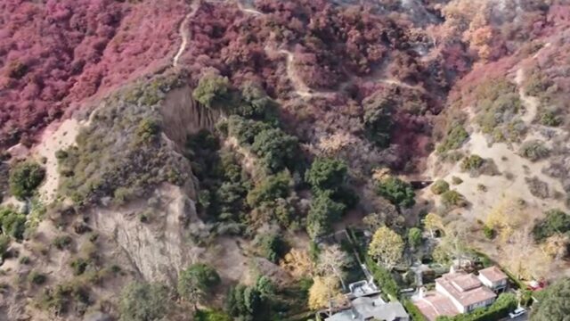 Robert F. Kennedy Jr.s Brentwood Mansion überlebt die Waldbrände in LA nur knapp

