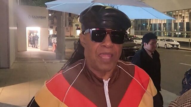 Stevie Wonder bezeichnet die Politik als Blödsinn und sagt, er interessiere sich nur für die Wahrheit

