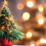 Weihnachtsdekorationen zum Thema Cannabis: Eine mutige, lustige und festliche Variante