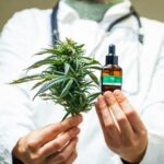 Ist Gras gut für Sie? Die Wahrheit über Cannabis und Gesundheit