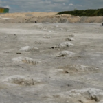 these footprints were made 166 million years ago as a dinosaur walked across a lagoon kevin church bbc