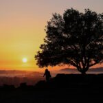 Für die Bay Area steht weiteres sonniges und kaltes Wetter bevor. Wann wird es wieder regnen?