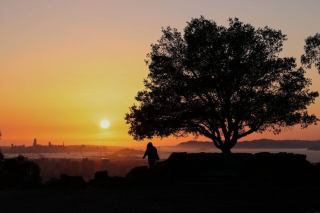 Für die Bay Area steht weiteres sonniges und kaltes Wetter bevor. Wann wird es wieder regnen?

