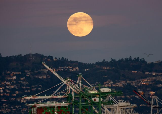 Fotos: Der Wolfsvollmond geht in der Bucht und auf der ganzen Welt auf

