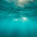 sunlight as seen from beneath the ocean surface