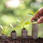 Image of small plants growing on top of four stacks of coins.