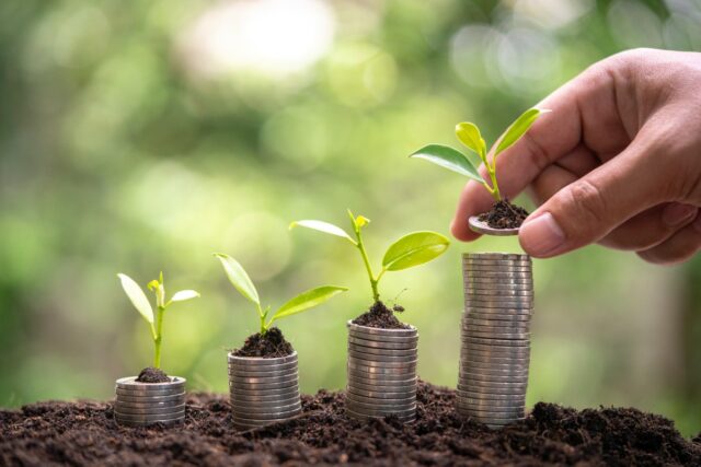 Image of small plants growing on top of four stacks of coins.