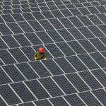 Man inspecting solar panels.