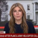 Die Nuancen von Nicole Wallace von MSNBC haben sich für "Wende in die Politik" und illegal die Schuld von DC -Flugzeugabsturz | Video