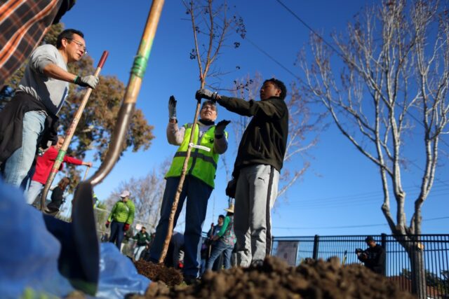 Die Schule in East Palo Alto wird Kaliforniens erstes K-12-Campus-Arboretum beherbergen

