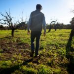 Selbst im Winter pflegen Freiwillige das Obstgarten-Erbe des Tals