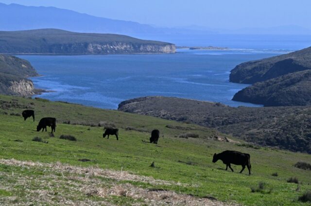 In einem historischen Abkommen erzielen Viehzüchter aus Point Reyes, der Nationalparkdienst und Umweltschützer eine Einigung über umstrittenes Land

