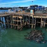 Die Entscheidung zum Wiederaufbau des Santa Cruz Wharf ist für April geplant