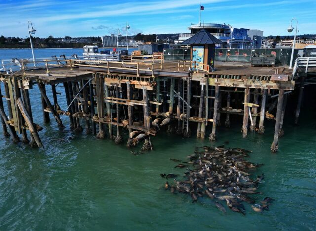 Die Entscheidung zum Wiederaufbau des Santa Cruz Wharf ist für April geplant

