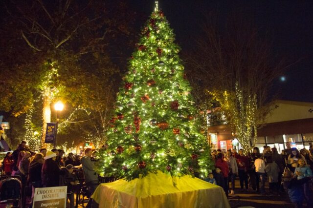 Einwohner von Sunnyvale können Weihnachtsbäume an den Straßenrand werfen

