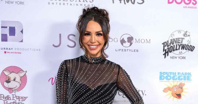 Scheana Shay ist jetzt mehr daran interessiert, sich „Traitors“ statt „DWTS“ anzuschließen.

