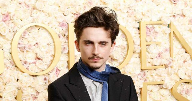 Timothee Chalamet enthüllt, dass er 20 Pfund gewonnen hat, um Bob Dylan zu spielen

