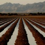 Donald Trumps California Water Order bewirkt mehr für Bauernhöfe als für Waldbrände